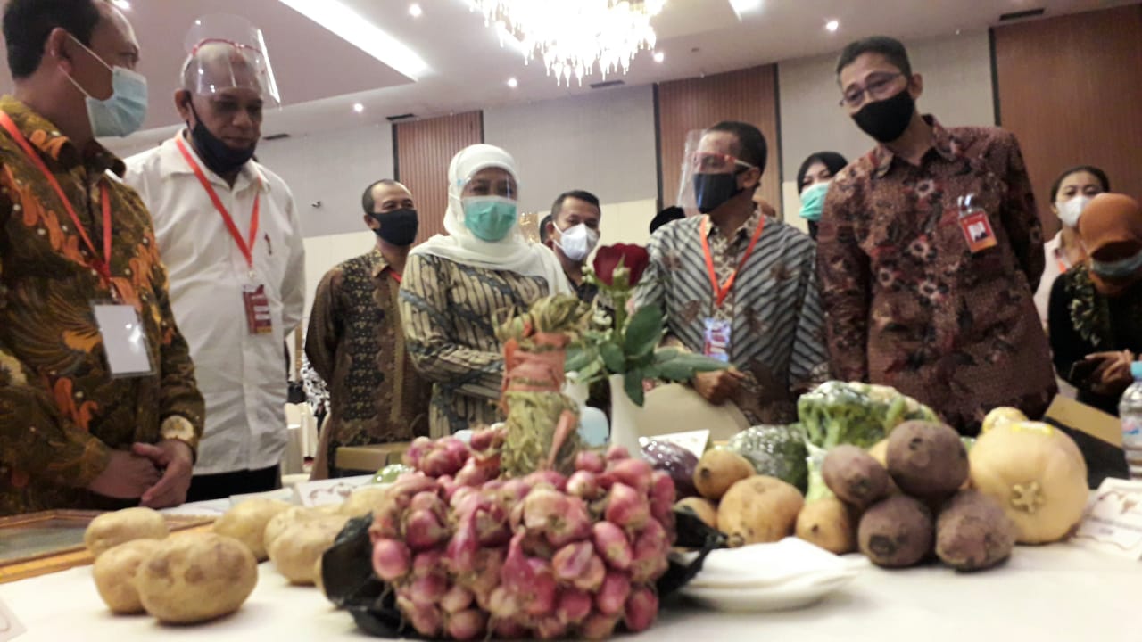 Regenerasi Petani Tidak Bisa Ditawar, Ini Alasannya