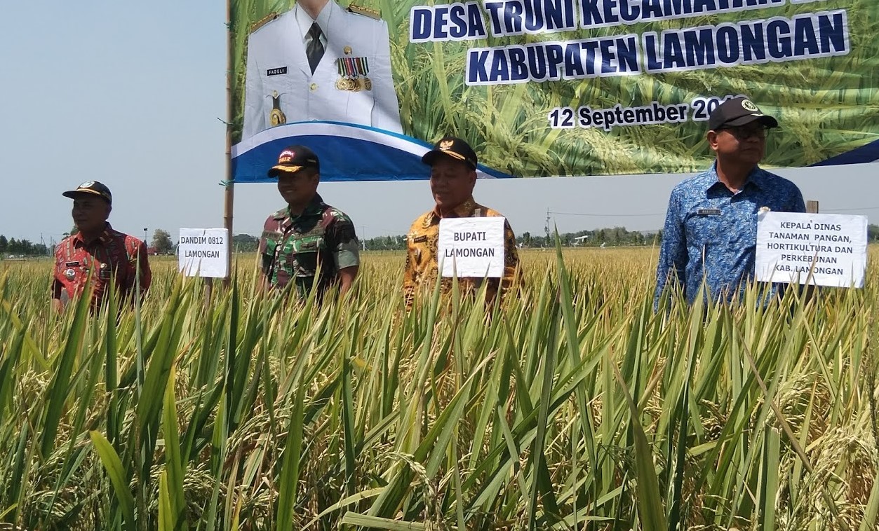 Sektor Pertanian Lamongan Penyumbang Pertumbuhan Ekonomi di Masa Pandemi