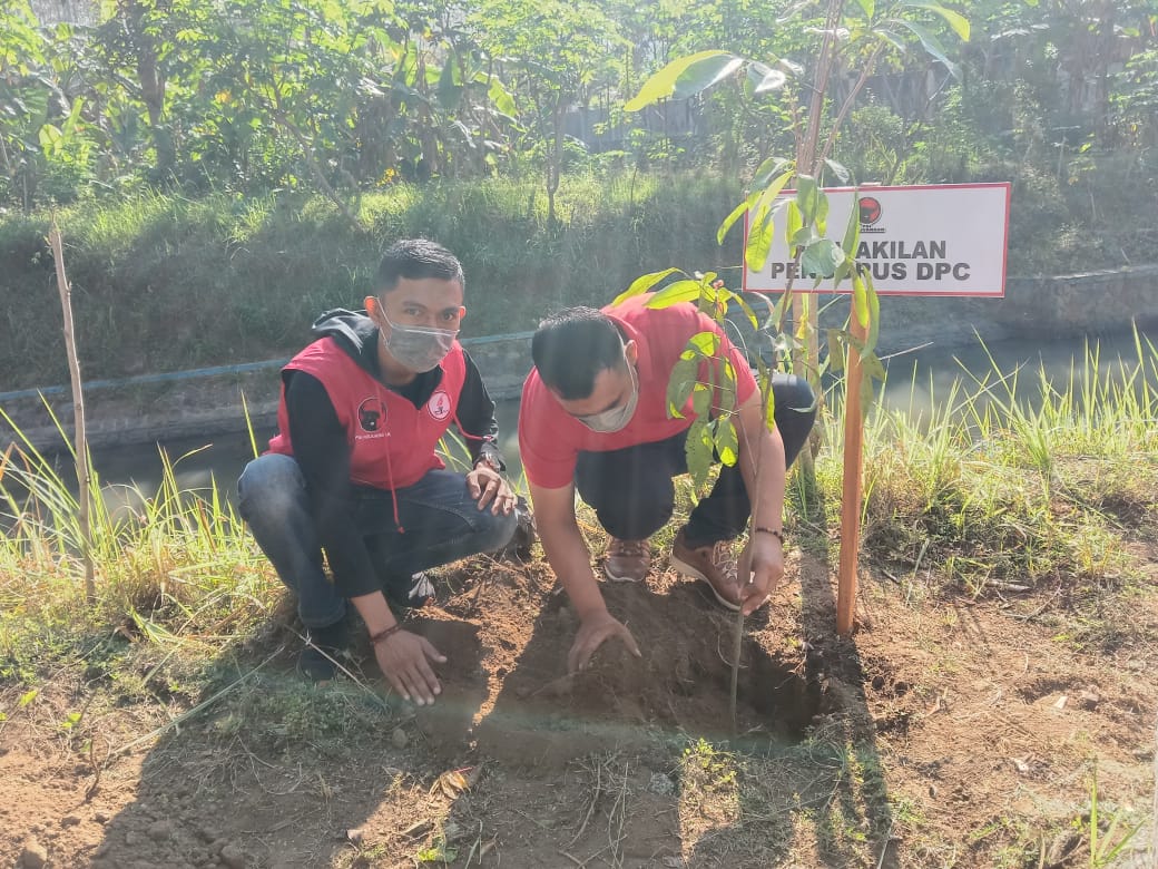 Bulan Bung Karno, DPC PDI Perjuangan Trenggalek, Gelar Penanaman Pohon