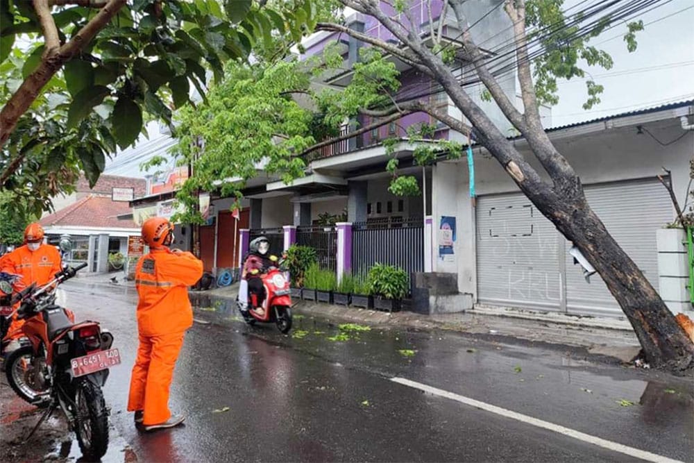 Gercep, Pemkot Kediri Tindak Lanjuti Aduan Pohon Tumbang