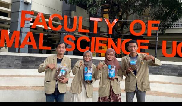 Mahasiswa UGM Olah Belatung Jadi Pakan Kucing Berprotein Tinggi