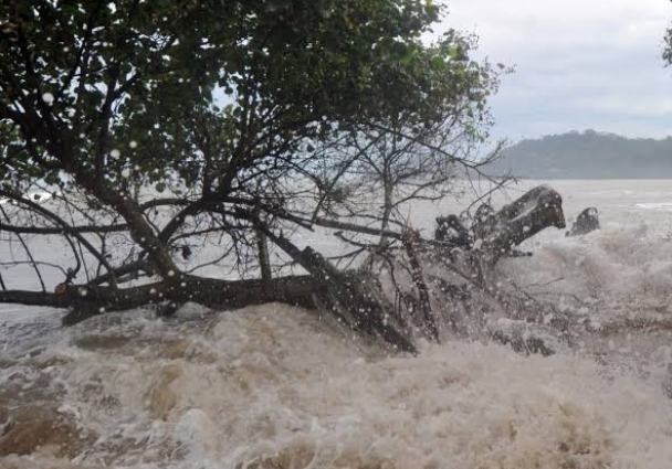 Warning BMKG, Hingga 22 Desember Ada 23 Daerah Terancam Banjir Rob