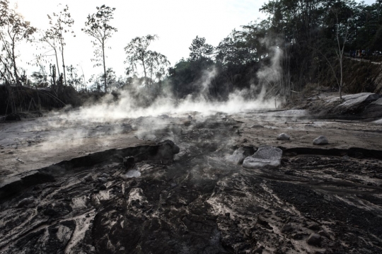Pemerintah Imbau Masyarakat tak Beraktivitas Dekat Kawah Gunung Semeru