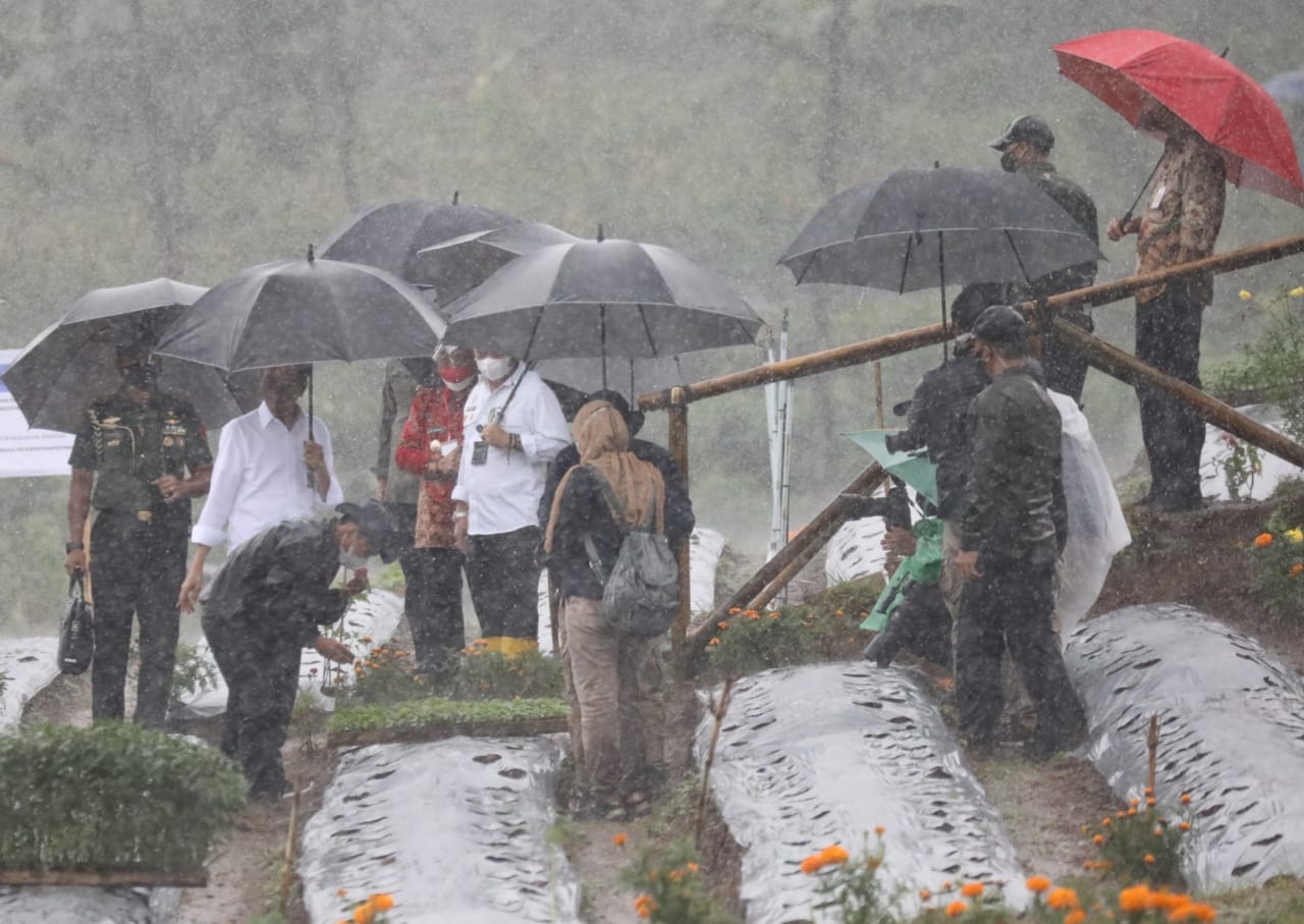 Gubernur Ganjar Dampingi Presiden Jokowi Kunjungi Food Estate Nasional di Wonosobo