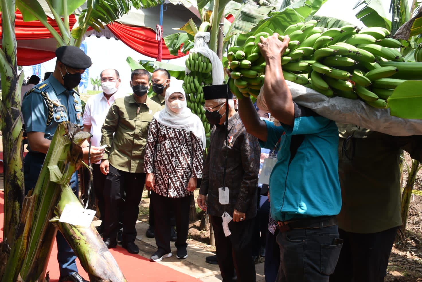 Wapres Sambut Baik Program Pengembangan Hortikultura Berorientasi Ekspor