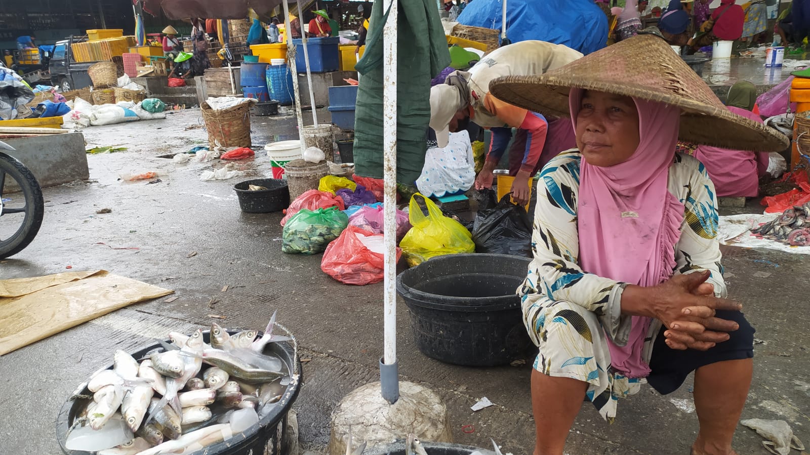 Jelang Musim Panen, Pedagang Khawatir Harga Ikan Air Tawar Turun
