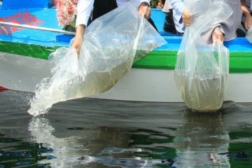 Tingkat Konsumsi Ikan Masyarakat Palangka Raya Cukup Tinggi, Dukung Upaya Cegah Stunting