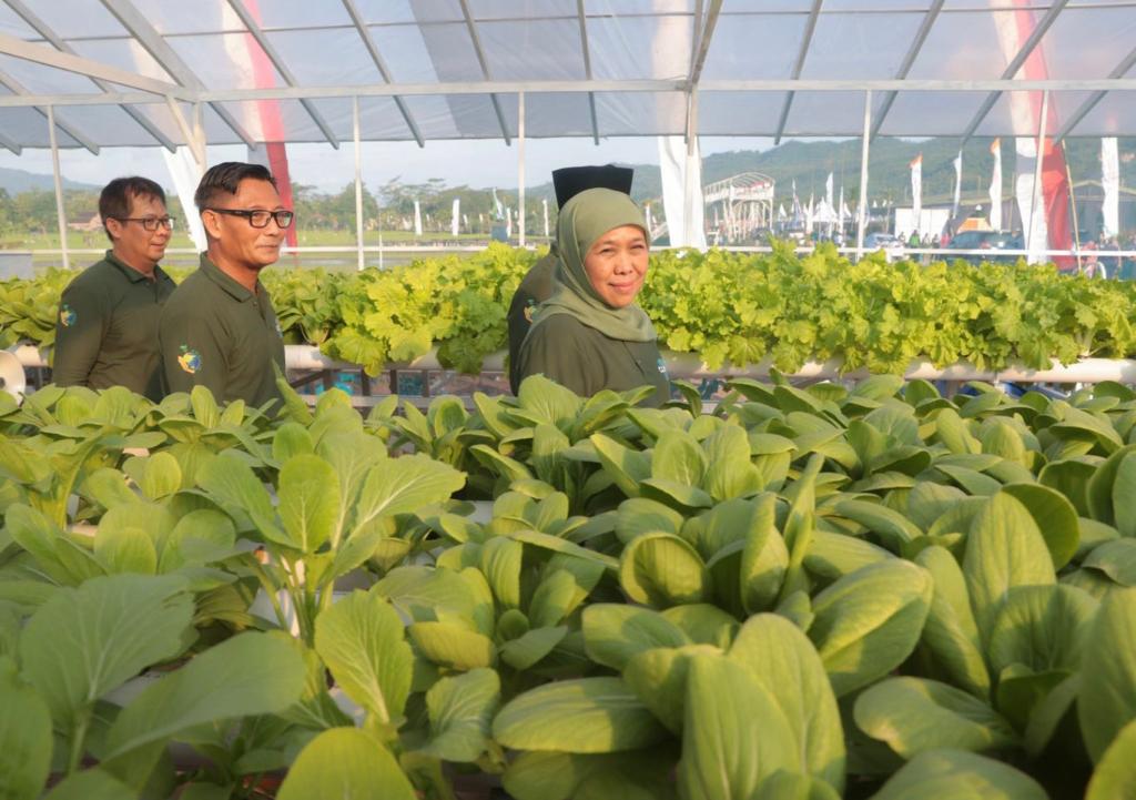 Gerakan Penanaman Sejuta Pohon, Upaya Jatim Wujudkan Net Zero Emission 2060