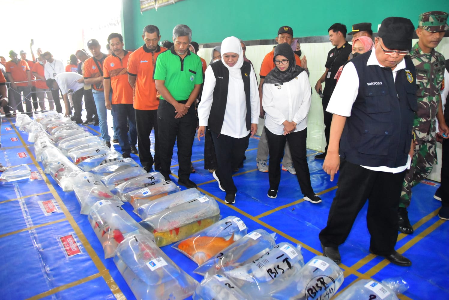 Gubernur Khofifah Dorong Peningkatan Akses Pasar Ikan Koi ke Mancanegara