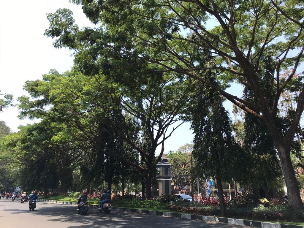 Jaga Kota Malang Tetap Hijau, Dinas Ligkungan Hidup Kucurkan Dana Rp 5 Miliar di Tahun 2023