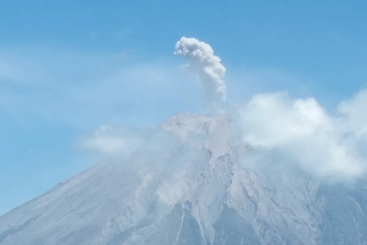 Letusan Gunung Semeru Setinggi 700 Meter