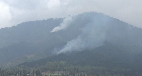 Gunung Semeru Kebakaran, Diduga Dampak Kemarau Panjang