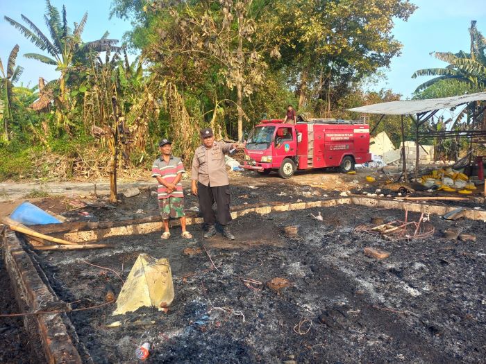 Kandang Isi Ribuan Ayam di Jombang Ludes Terbakar