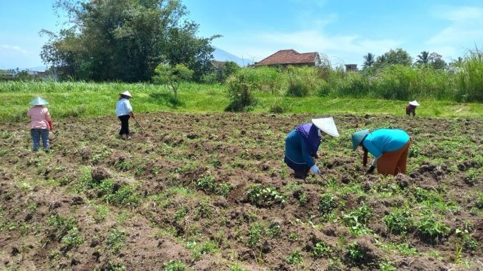 Kabupaten Malang Penyuplai 30 Persen Kebutuhan Bahan Pangan di Jatim