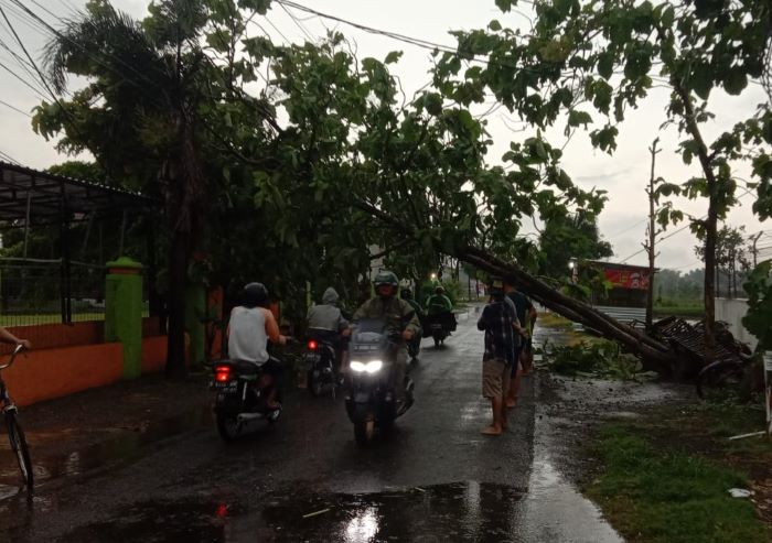 Puting Beliung Rusak Sejumlah Warung dan SD di Jombang