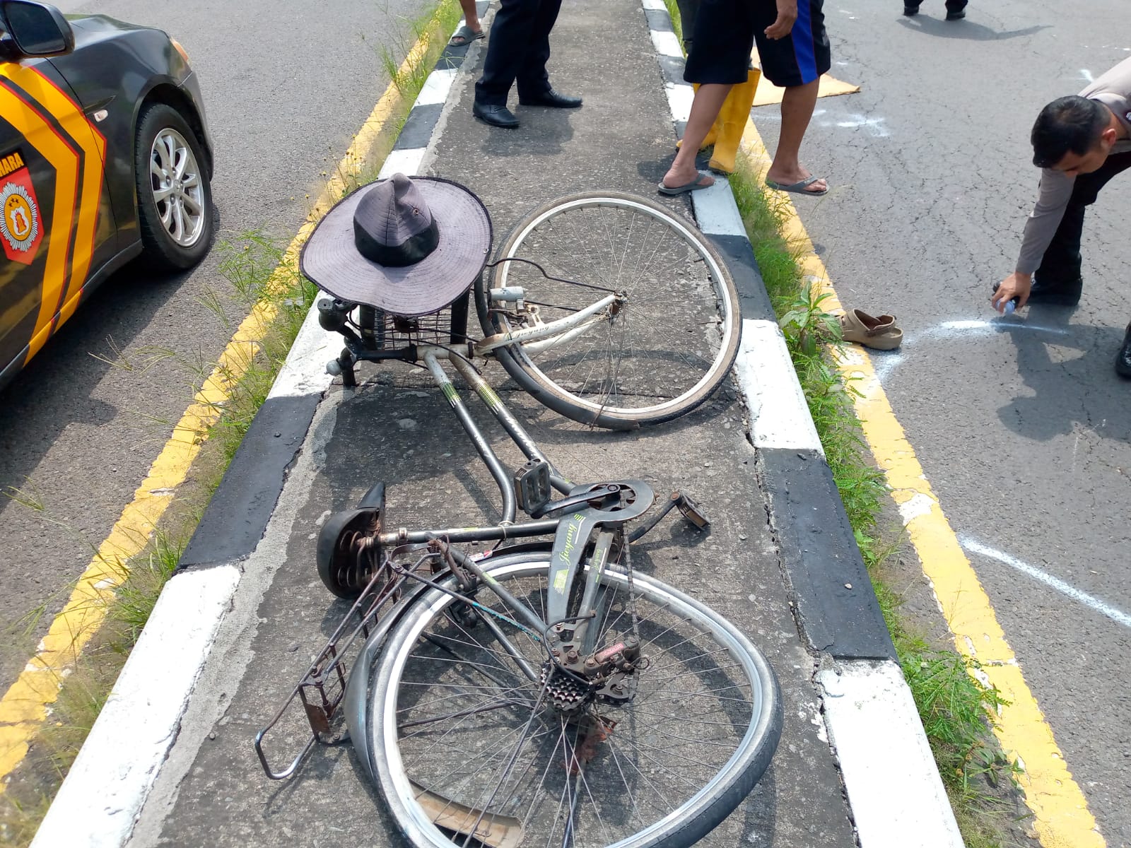 Pengendara Sepeda di Jombang Tewas Ditabrak Truk Bermuatan Ayam Potong