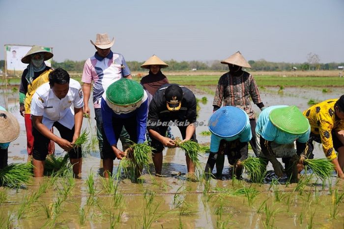 Bupati Tuban Dorong Petani Gunakan Pupuk Organik